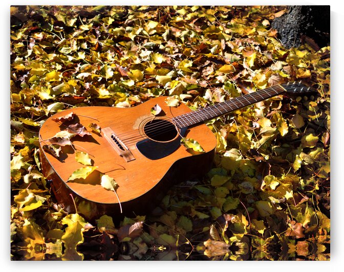 Guitar Yamaha in Fall Leaves by Bill Swartwout Photography