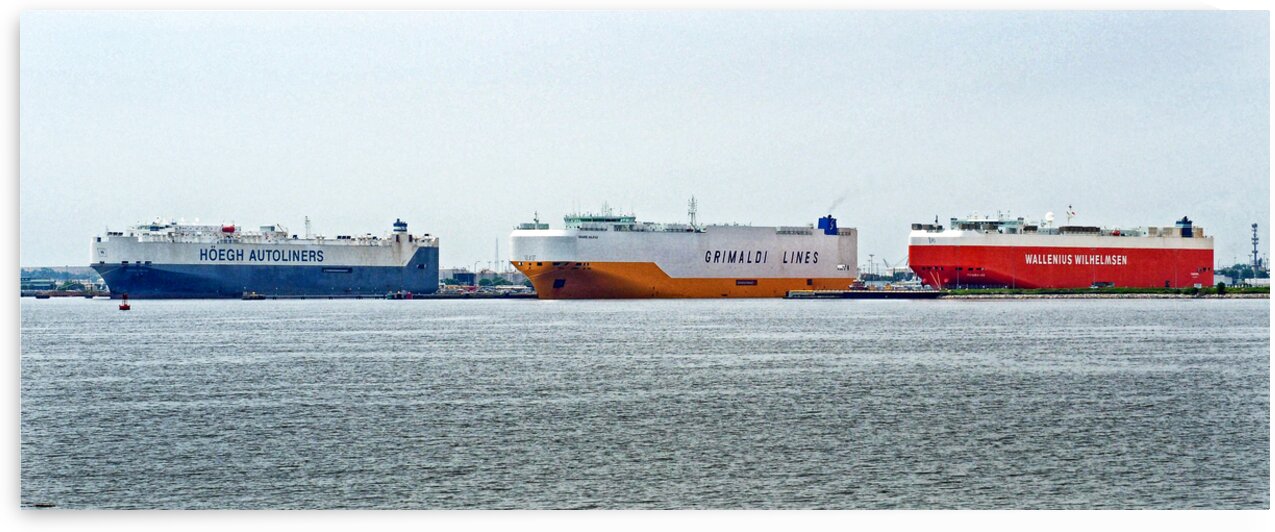 Ro Ro Ships Lined Up at Curtis Bay by Bill Swartwout Photography