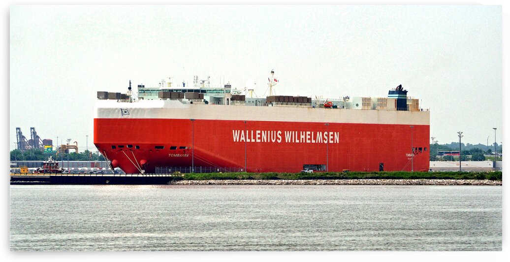 Wallenius Wilhelmsen Tombarra 9319753 at Curtis Bay by Bill Swartwout Photography