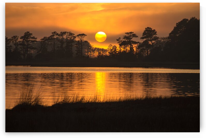 Sunset Near Trees over Assawoman Bay by Bill Swartwout Photography