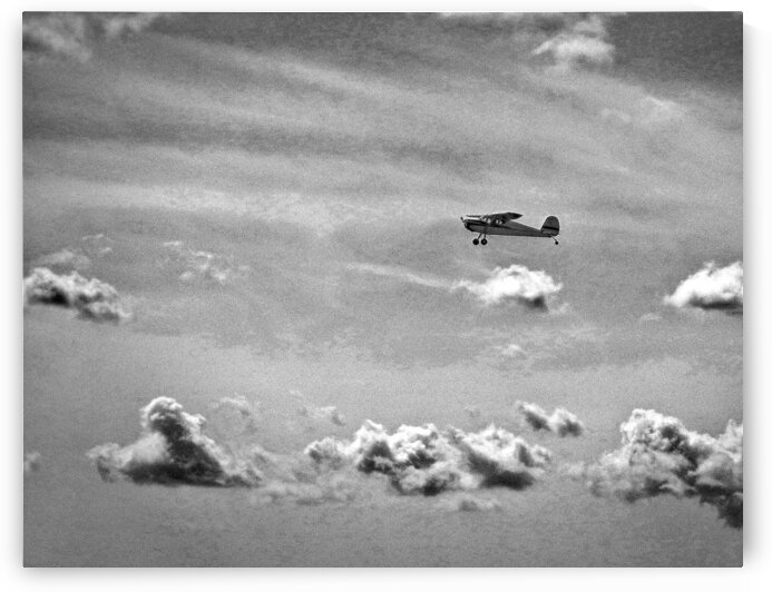 Cessna 140 Departing Georgetown in Black and White by Bill Swartwout Photography