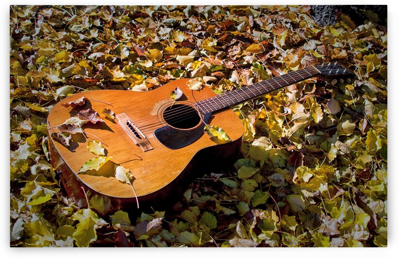 Old Guitar But Not Willie Nelsons Trigger by Bill Swartwout Photography
