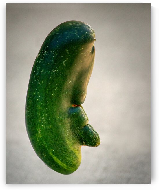 Jimmy Cucumber Nose 0003 by Bill Swartwout Photography