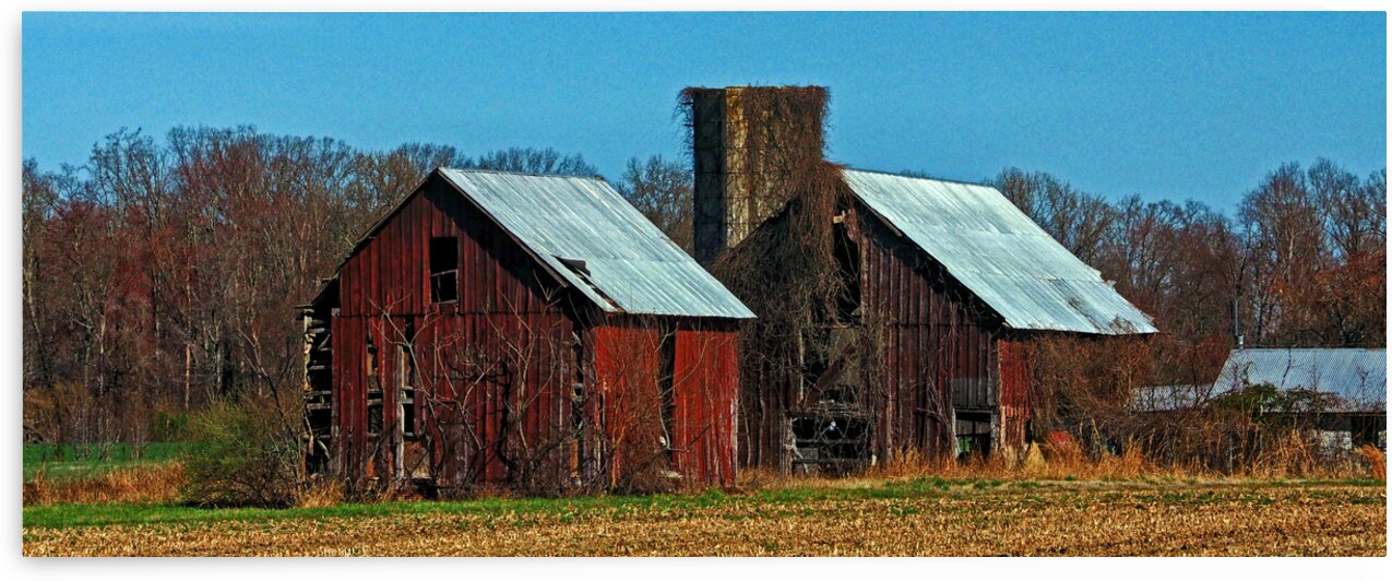 Old Barn Route Panorama 4600x1840 by Bill Swartwout Photography