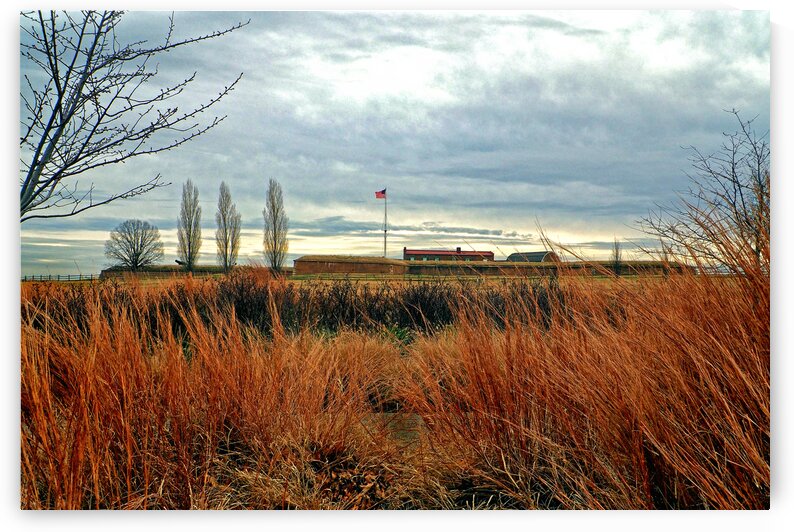 Fort McHenry Weedy Foreground 2140061 by Bill Swartwout Photography