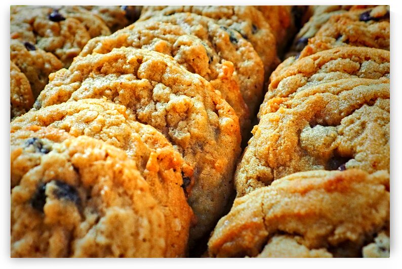 Oatmeal Raisin Cookies at the Dutch Market by Bill Swartwout Photography