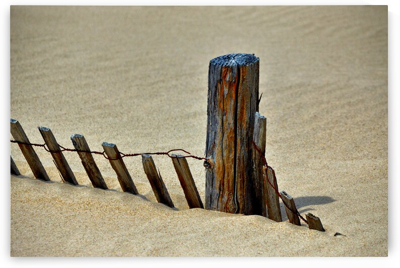 Fence Post at Whiskey Beach 3849 by Bill Swartwout Photography