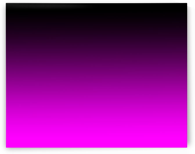 Abstract Back to the Fuchsia by Bill Swartwout Photography