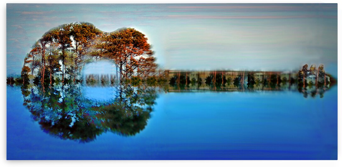 Guitar Trees at Gordons Pond by Bill Swartwout Photography