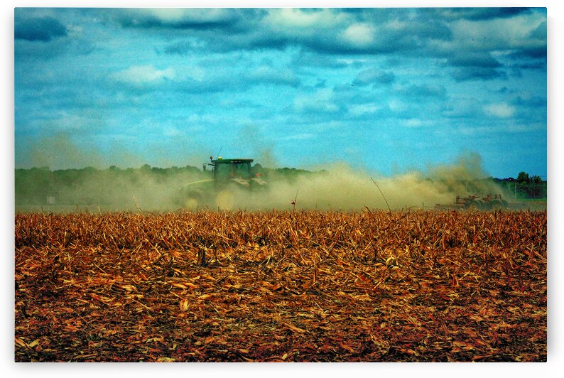 Dusty Deer and Case on the Farm by Bill Swartwout Photography