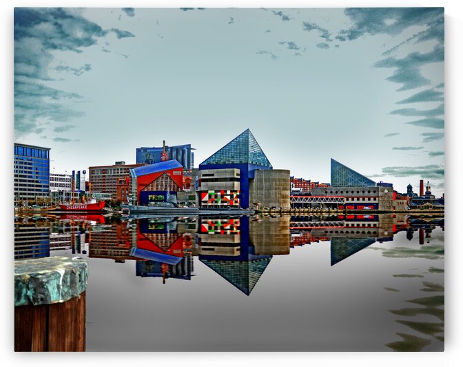 Baltimore Aquarium Reflection 0517 by Bill Swartwout Photography