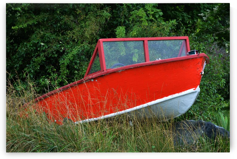 Red Boat in the Weeds by Bill Swartwout Photography
