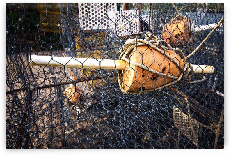 Crab Pot Float by Bill Swartwout Photography