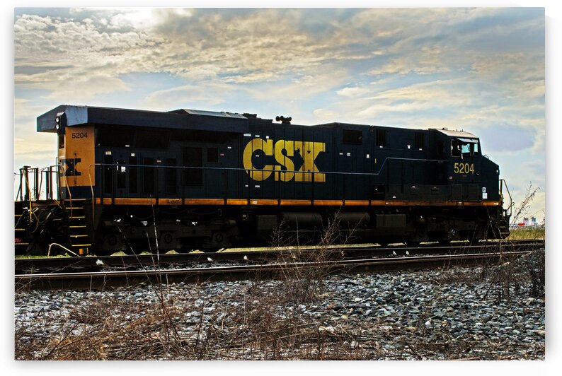 CSX Engine 5204 Grade Crossing Silhouette by Bill Swartwout Photography