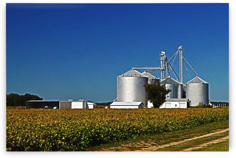 Grain Elevator on Starr Road by Bill Swartwout Photography