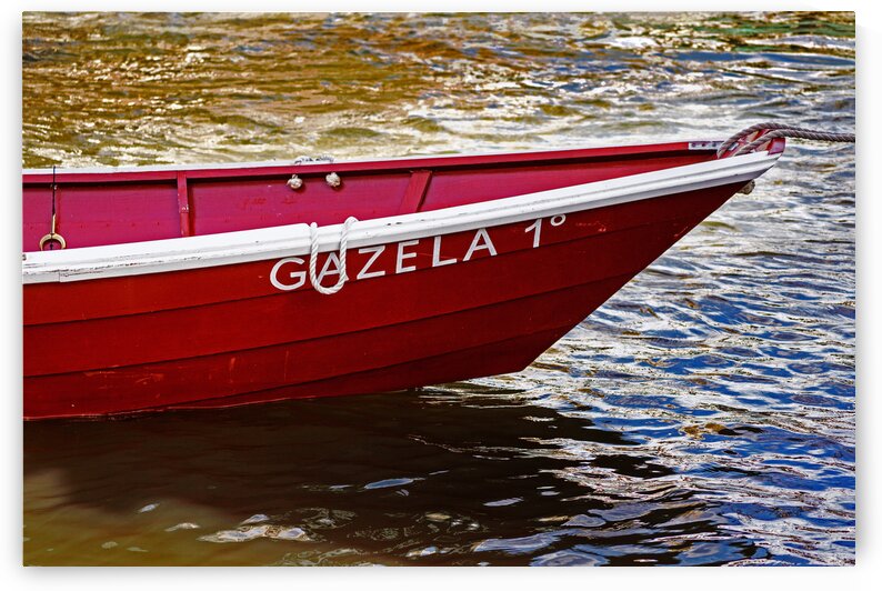Gazela Tender for Tall Ship 8027 by Bill Swartwout Photography