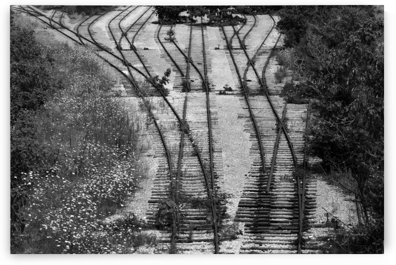 End of the Line in Monotone by Bill Swartwout Photography