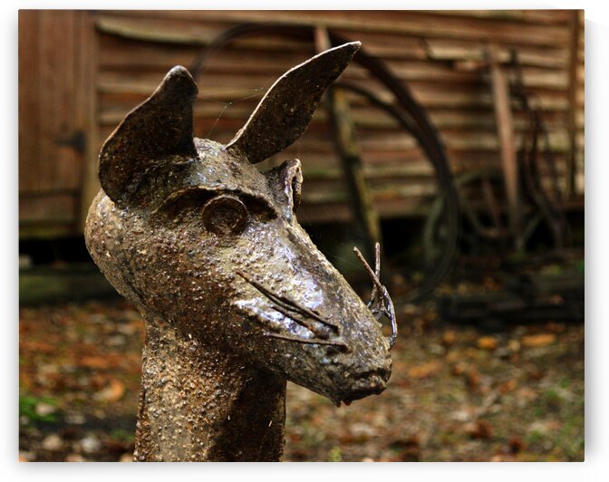 Iron Rat At Furnace Town by Bill Swartwout Photography