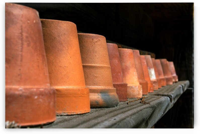 Legalized Pot by Bill Swartwout Photography