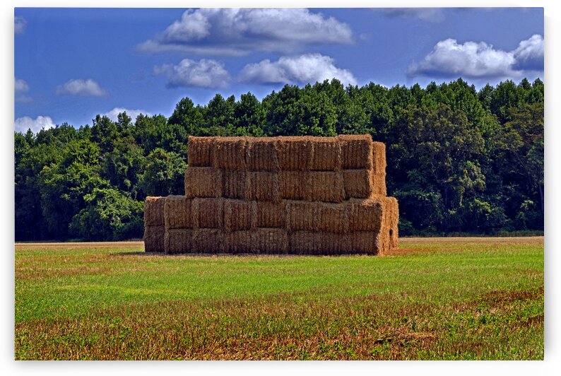 Hay Bales Stacked by Bill Swartwout Photography
