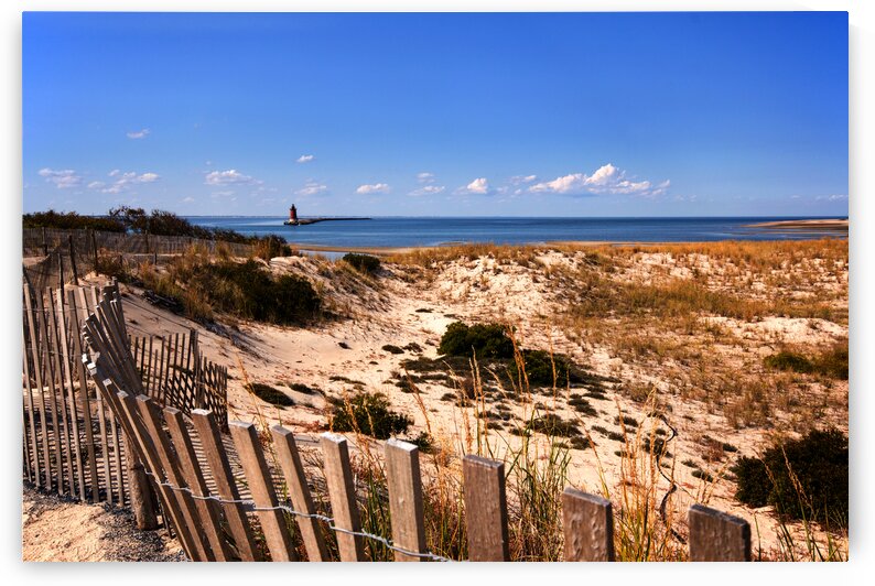 Cape Henlopen Overlook and Breakwater Light by Bill Swartwout Photography