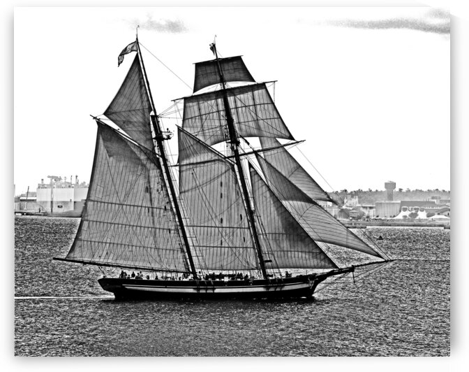 Pride Of Baltimore 2 Outer Harbor by Bill Swartwout Photography