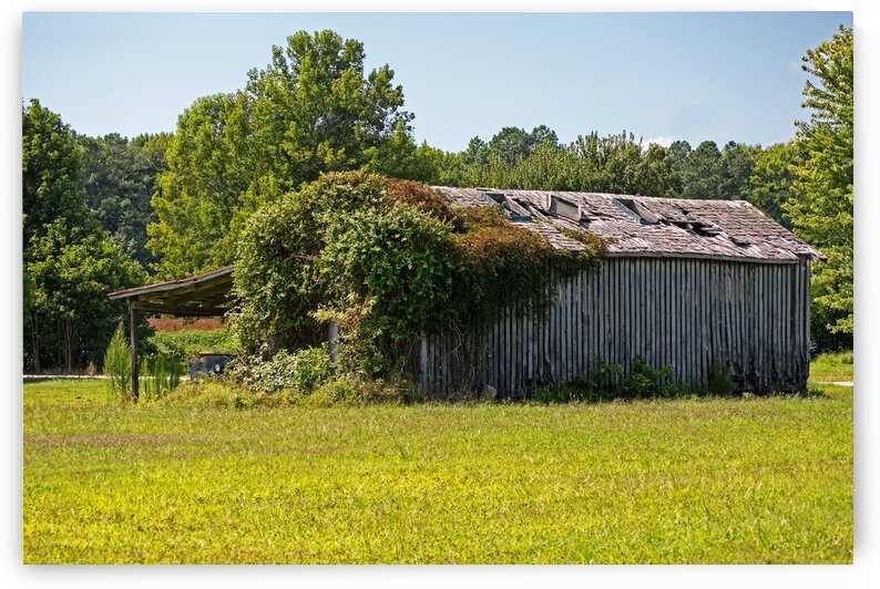 Muskrat Town Road Deserted Crib by Bill Swartwout Photography