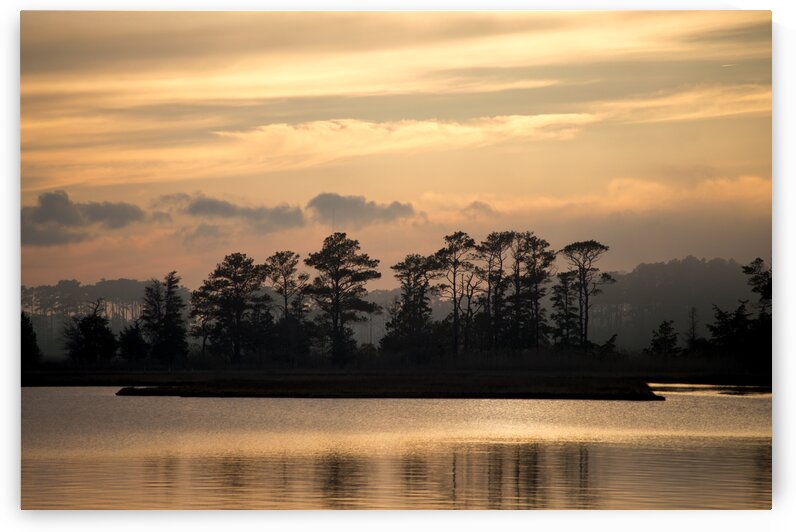 Misty Island of Assawoman Bay by Bill Swartwout Photography