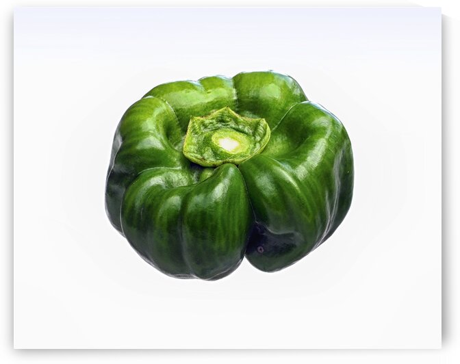 Green Bell Pepper on White by Bill Swartwout Photography