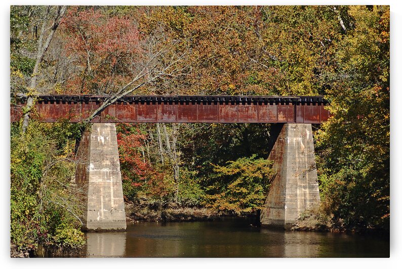 Tuckahoe River Railroad Bridge Up Close 5509 by Bill Swartwout Photography