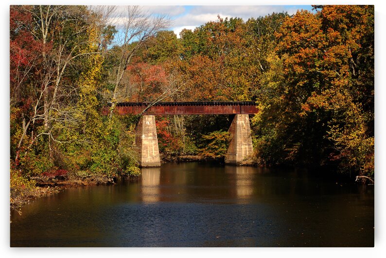 Tuckahoe River Railroad Bridge in Fall 5514 by Bill Swartwout Photography