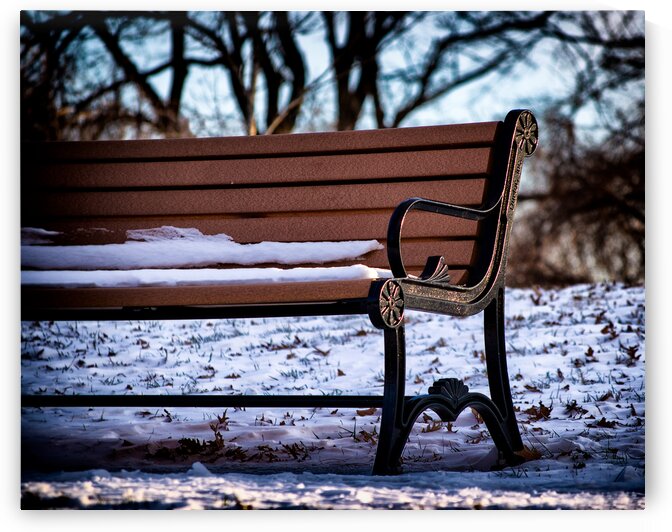 Snowy Bench in Baltimores Riverside Park by Bill Swartwout Photography