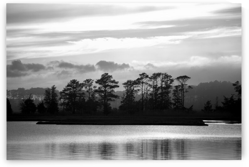 Misty Assawoman Island in Black and White by Bill Swartwout Photography