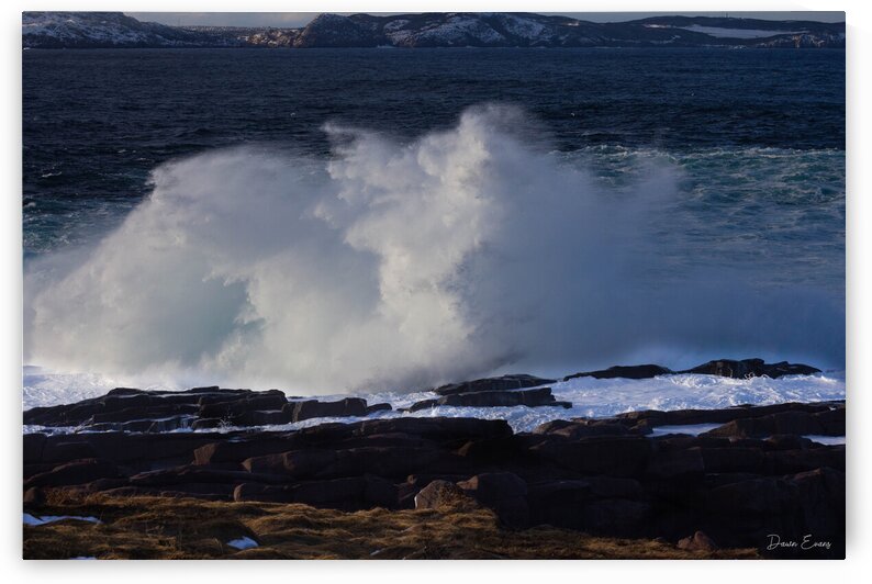 Cape Spear Waves by Dawn Evans
