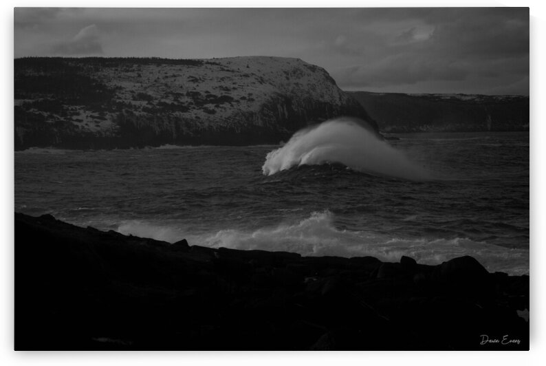 Cape Spear Waves by Dawn Evans