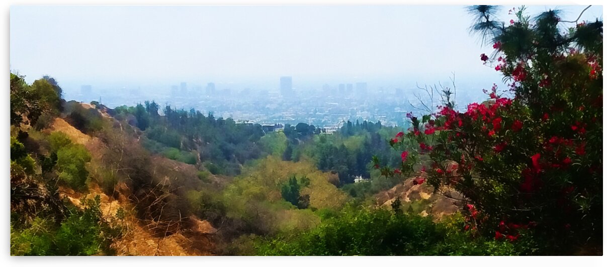 beauty of la by Pierce Anderson