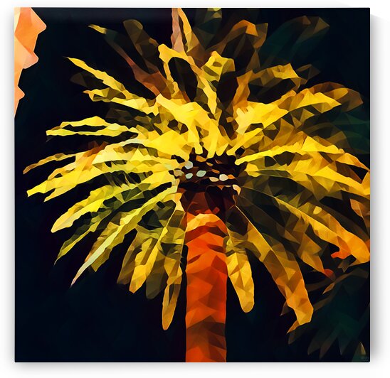 las vegas palm tree at night by Pierce Anderson