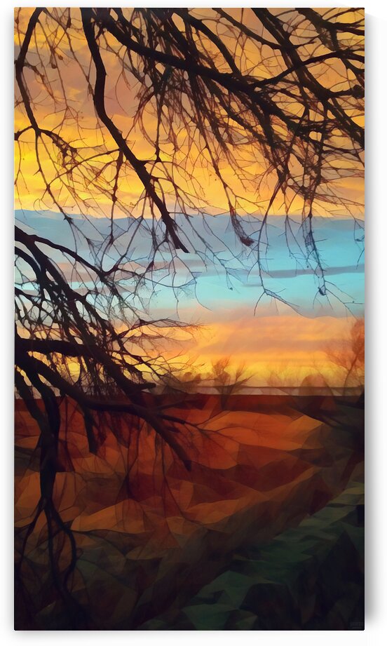 winter blast by Pierce Anderson