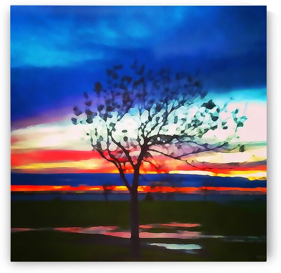 after the rain by Pierce Anderson