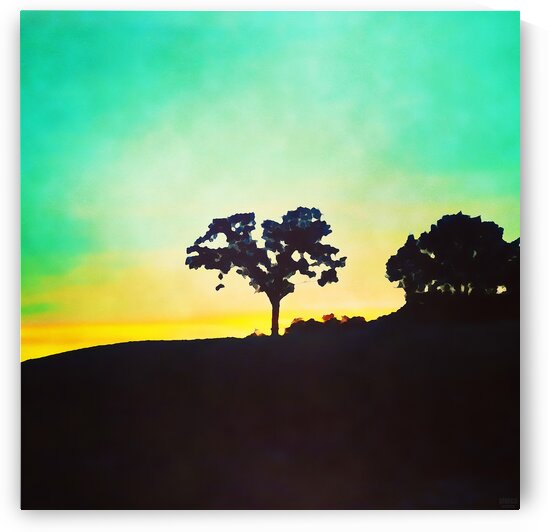 hill tree by Pierce Anderson