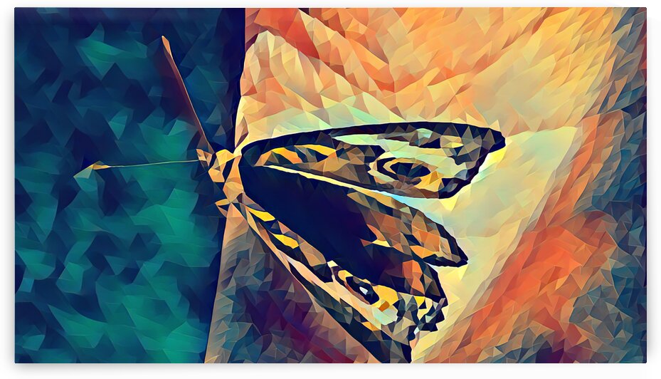 butterfly art by Pierce Anderson
