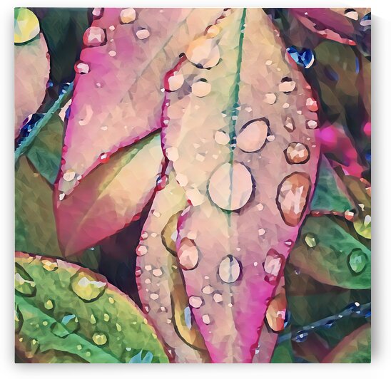 water leaves by Pierce Anderson