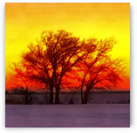 snowy evening by Pierce Anderson