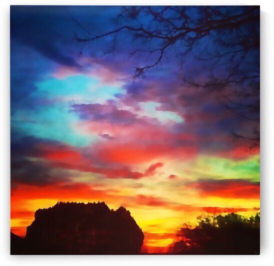 Bounty of Color by Pierce Anderson