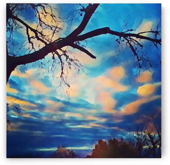 broken beauty by Pierce Anderson