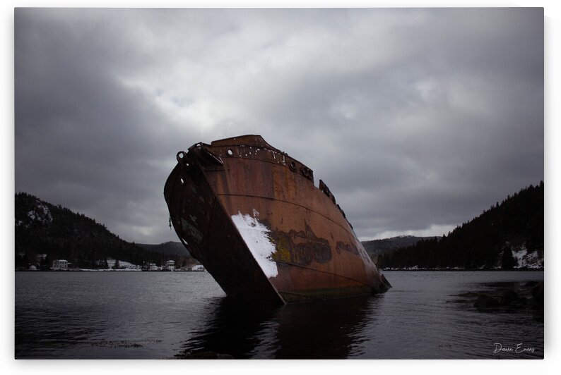 SS Charcot by Dawn Evans