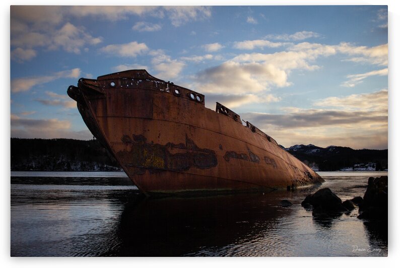 SS Charcot by Dawn Evans