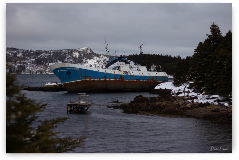 Hamilton Banker by Dawn Evans