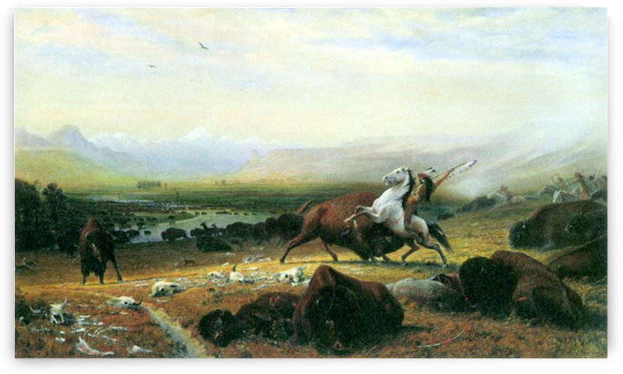 The last Buffalo by Bierstadt