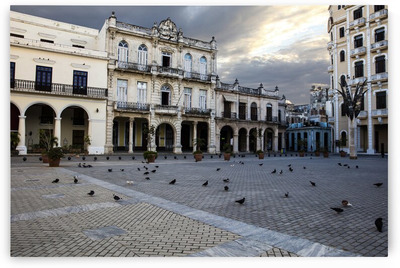 Town Square by India Blake